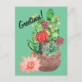 Cactus, Succulents, Cactus Flower, Arrangemanga Vykort