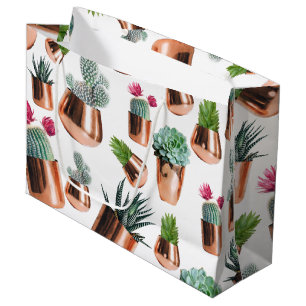 Cactus & Succulents i Ro Guld Pots