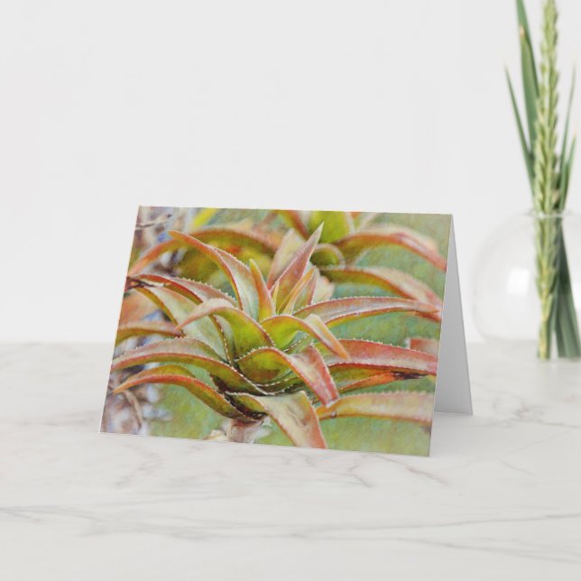 Cactus Succulus Aloe Art Note Card Kort (Framsida)