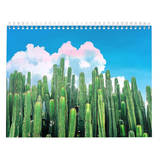 Cactus Summer Kalender (Omslag)