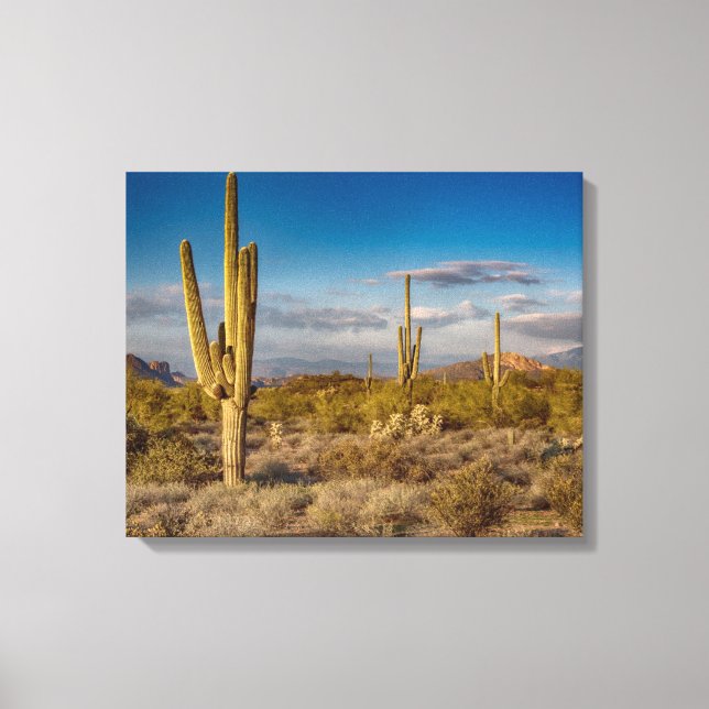 Cactus Sunset i Arizona Canvastryck (Framsida)