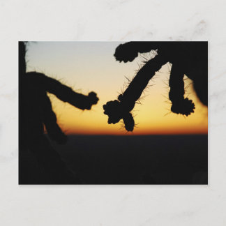 Cactus Sunset - Orange Vykort