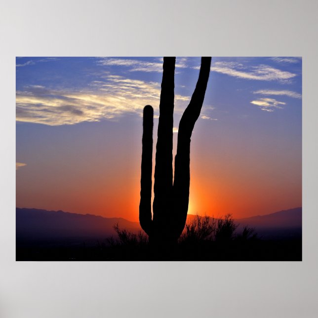 Cactus Sunset Poster (Framsidan)