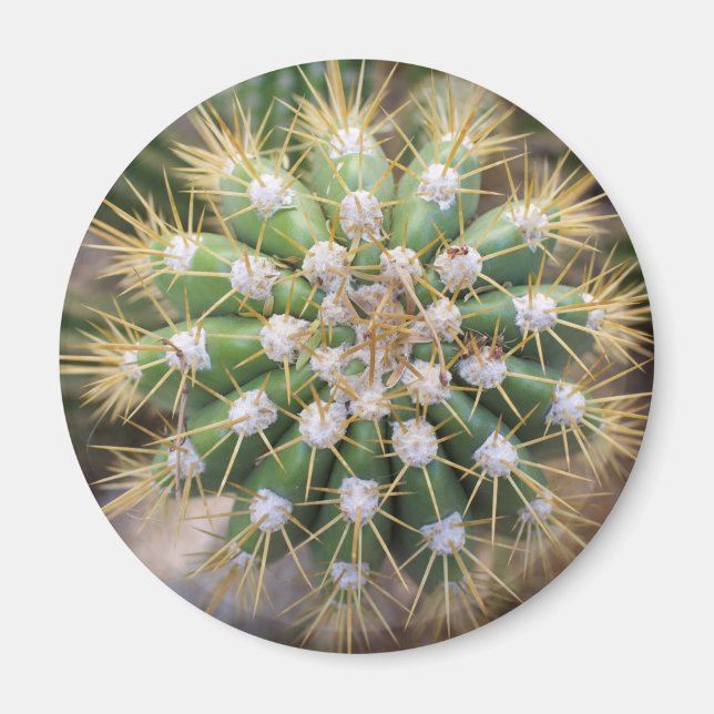 Cactus Top Magnet (Framsidan)