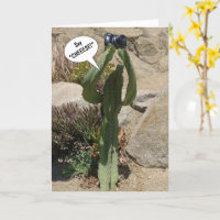 Cactus Tourist, säg CHEEESE - kort
