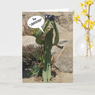 Cactus Tourist, säg QUEEESO - kort