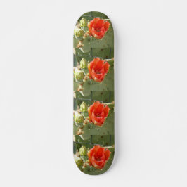 Cactus Tuff och Vackra skateboard