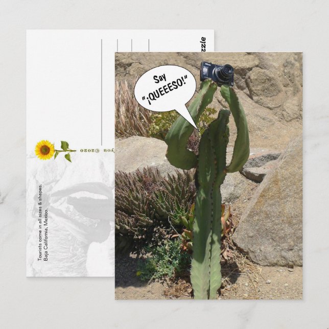 Cactus Turist, säg QUEEESO - vykort (Fram/baksida)