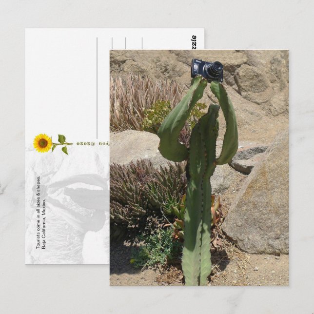 Cactus Turist - vykort (Fram/baksida)