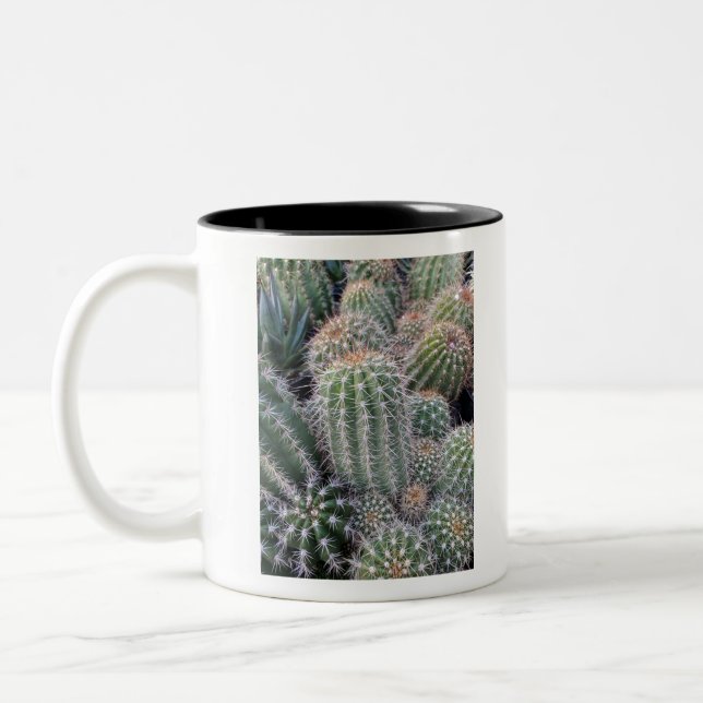 Cactus Två-Tonad Mugg (Vänster)