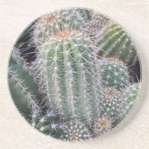 Cactus Underlägg Sandsten