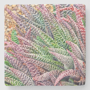 ’CACTUS’ UNDERLÄGG STEN