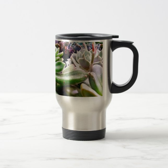 Cactus Variety Resemugg (Höger)