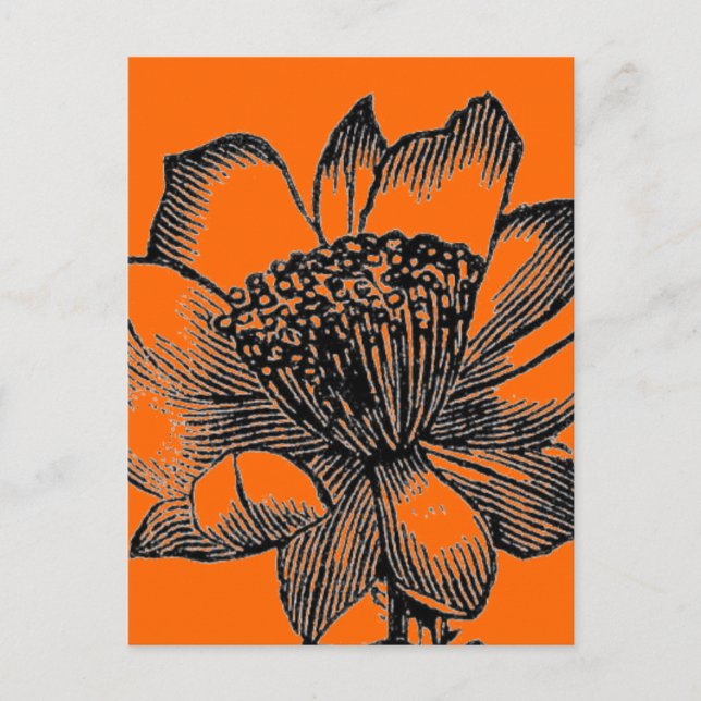 Cactus vycard vykort (Framsida)
