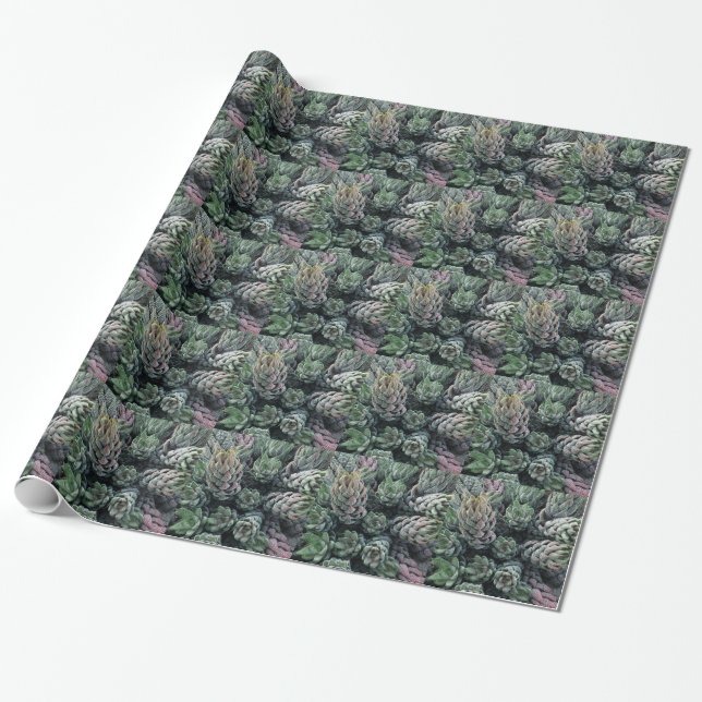 Cactus Wrapping Papper Presentpapper (Utrullad)