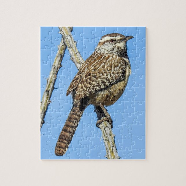 Cactus Wren Puzzle Pussel (Vertikal)