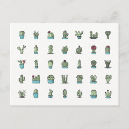 Cactuses Succulents Plants Hand plockade botanique Vykort