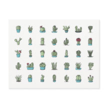 Cactuses Succulents Plants Hand plockade botanique