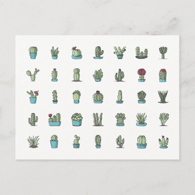 Cactuses Succulents Plants Hand plockade botanique Vykort (Framsida)
