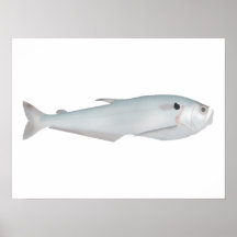 Cacunda