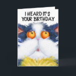 CACUTE CAT ART FUNNY BIRTHDAY GREETY CARDS KORT<br><div class="desc">CUTE CAT ART BIRTHDAY CARD. JAG ÄR BARA HÄR FÖR CAKE.</div>