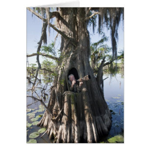 Caddo Lake, jaktblind Hälsningskort
