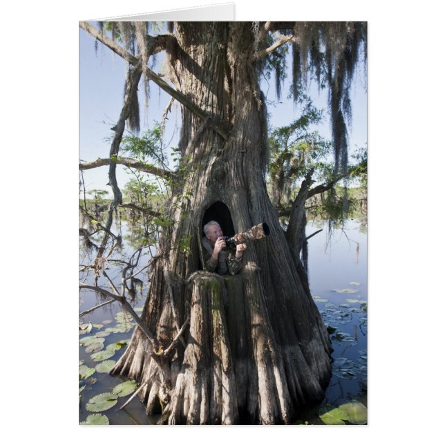Caddo Lake, jaktblind Hälsningskort (Framsidan)
