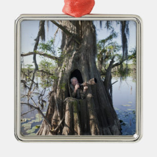 Caddo Lake, jaktblind Julgransprydnad Metall