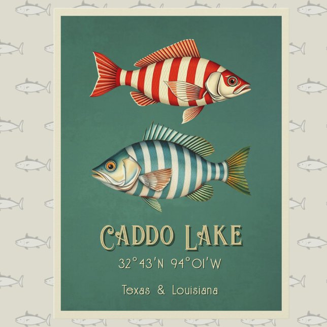 Caddo Lake Texas randig fisk vykort (Skapare uppladdad)