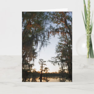Caddo Lake vid soluppgång Kort
