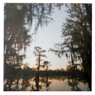 Caddo Lake vid soluppgången Kakelplatta