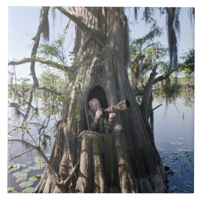 Caddo Sjö, jaktande blind Kakelplatta (Framsidan)