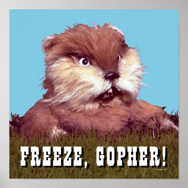 Caddyshack | Frys, Gopher! Poster (Framsidan)
