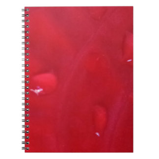 Caderno Espiral com Foto Anteckningsbok