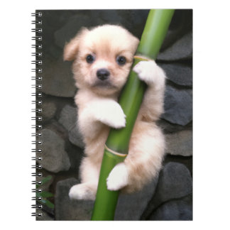 Caderno Espiral Gaejook 개 죽 이 Anteckningsbok
