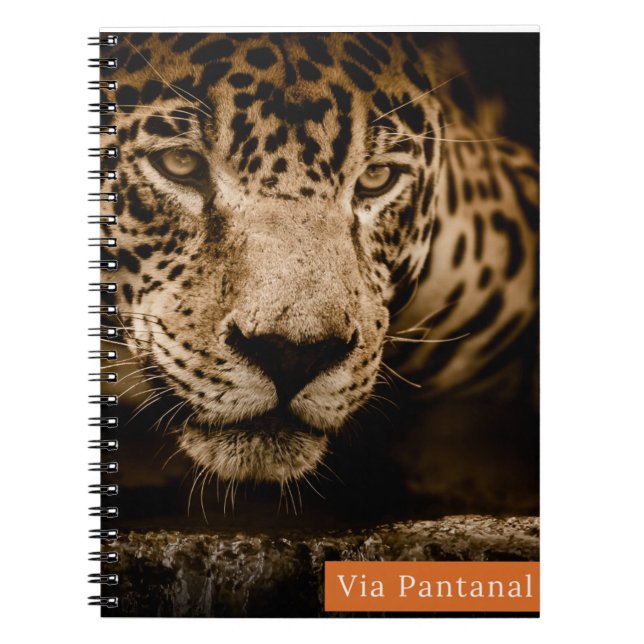 Caderno Via Pantanal Onça Anteckningsbok (Framsidan)