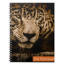 Caderno Via Pantanal Onça