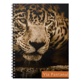 Caderno Via Pantanal Onça Anteckningsbok