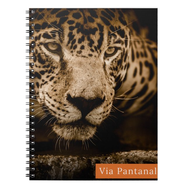 Caderno Via Pantanal Onça Anteckningsbok (Framsidan)
