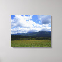 Cades Cove