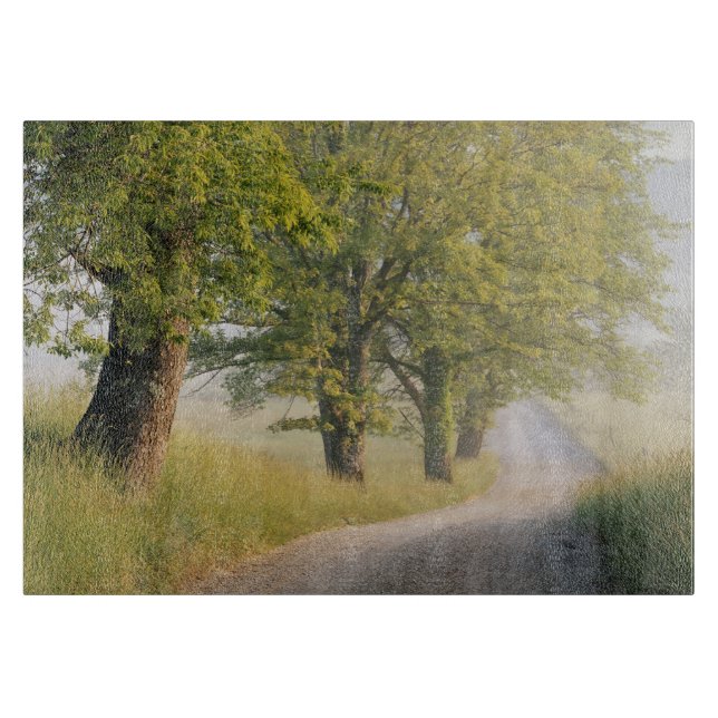 Cades Cove | Great Smokey Mountains, TN (Framsidan)