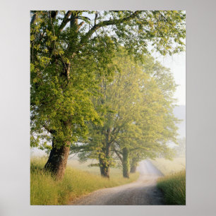 Cades Cove   Great Smokey Mountains, TN Poster