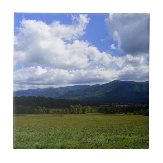 Cades Cove Kakelplatta (Framsidan)