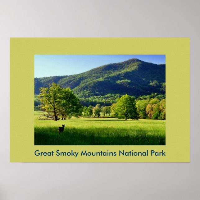 Cade's Cove Photo Greeting Card Poster (Framsidan)