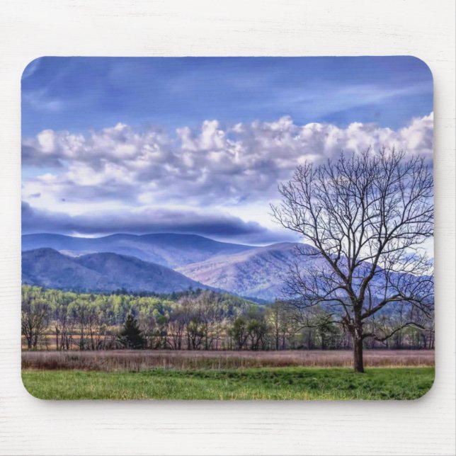 Cades Cove - Smoky Mountains nationalpark Musmatta (Framsidan)