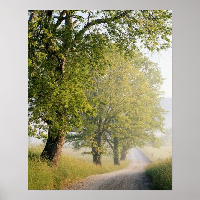 Cades Cove | Underbara Smokey Mountains, TN Poster (Framsidan)