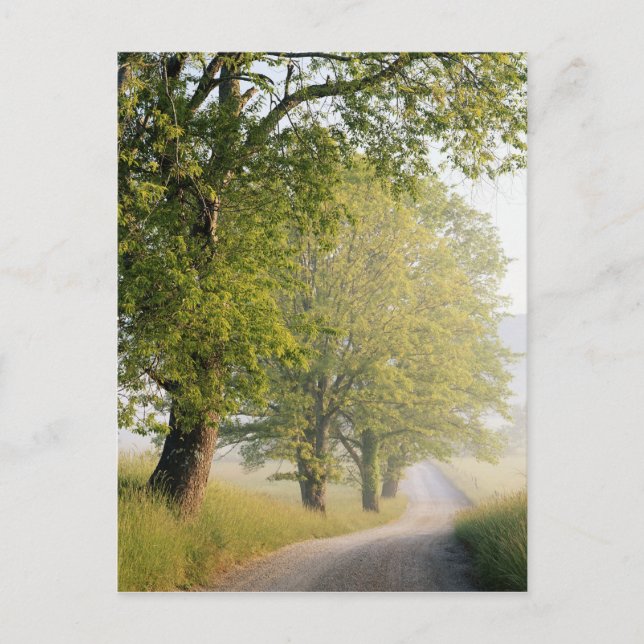 Cades Cove | Underbara Smokey Mountains, TN Vykort (Framsida)