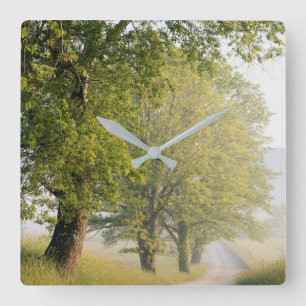 Cades Cove  Underbarare Smokey Mountains, TN Fyrkantig Klocka