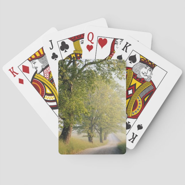 Cades Cove| Underbarare Smokey Mountains, TN Spelkort (Baksidan)