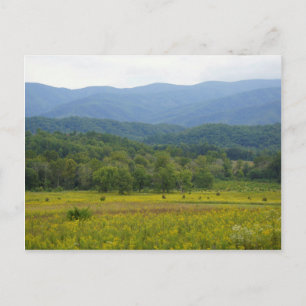 Cades Cove Vykort